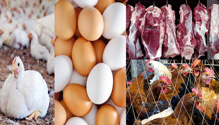 লাগামছাড়া ডিম-মাংসের দাম, দিশেহারা মানুষ