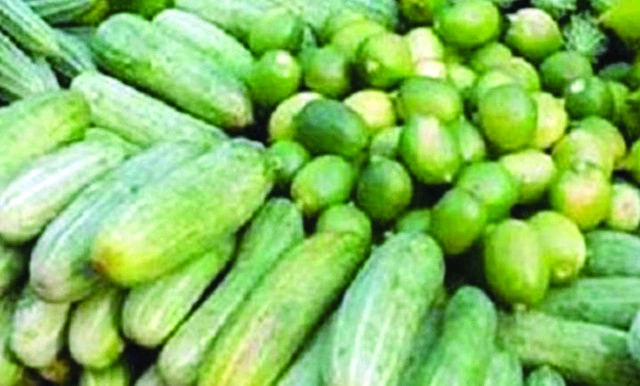 রোজার বাজার : লেবু, বেগুন, শসায় আগুন