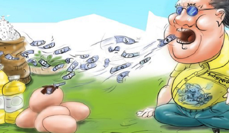 ‘প্রভাবশালী চক্র প্রতিটি পণ্যের বাজারে সিন্ডিকেট গড়ে তুলেছে’