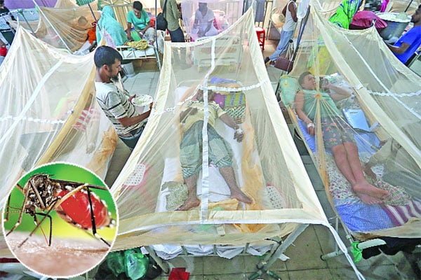 রাজধানীতে ডেঙ্গু ভয়াবহ ডেঙ্গুর উচ্চঝুঁকিতে দুই সিটি