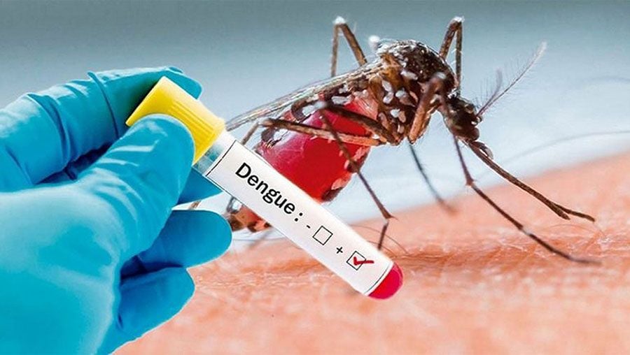 July is deadliest month as 109 dengue patients die, 20465 cases in Bangladesh