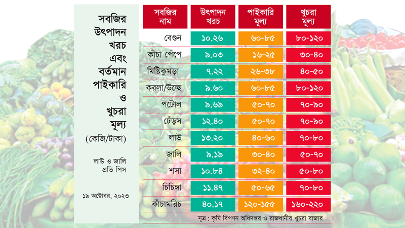 ১০ টাকায় উৎপাদিত সবজির বাজারমূল্য ১২০ টাকা