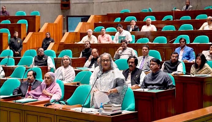 Human rights are constantly being violated in Palestine, PM tells JS