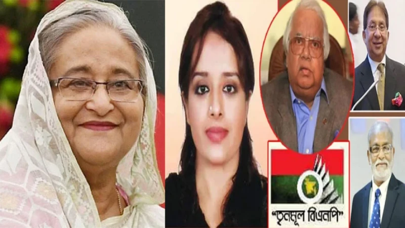 প্রধানমন্ত্রীর সঙ্গে তৃণমূল বিএনপির বৈঠকে কী কথা হলো?