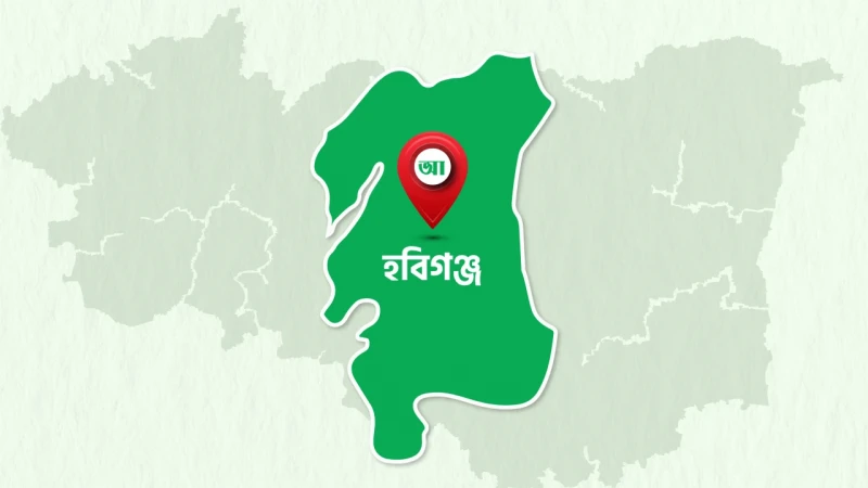 বানিয়াচংয়ে শিশু ধর্ষণের শিকার