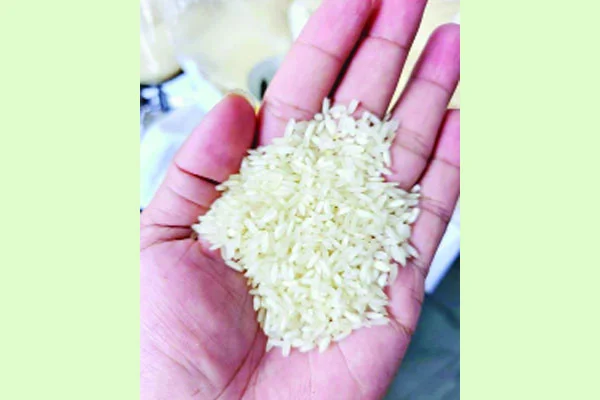 চাল নিয়ে প্রতারণা ♦ নাজিরশাইল-মিনিকেট নামে কোনো ধান নেই কেটে-পলিশ করে বাহারি নাম ও দাম ধরা হয় ♦ পালকি নাজির ৭৬, মান্নান নাজির ৮২ মজুমদার নাজির ৮২, শাহরিয়ার নাজির ৯৪, কাটারি নাজির ৯৬ টাকা