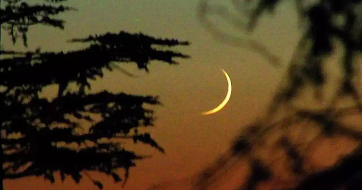 সৌদিতে চাঁদ দেখা গেছে, ঈদুল আজহা ৬ জুন