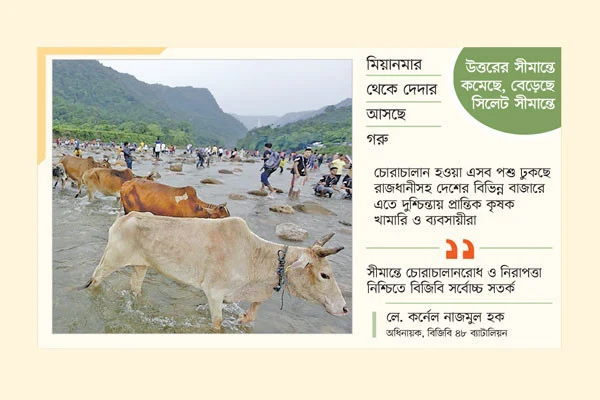 গরু আসার নতুন রুট