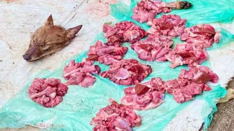 প্রকাশ্যে বিক্রি হচ্ছে শিয়ালের মাংস, ২ হাজার টাকা কেজি