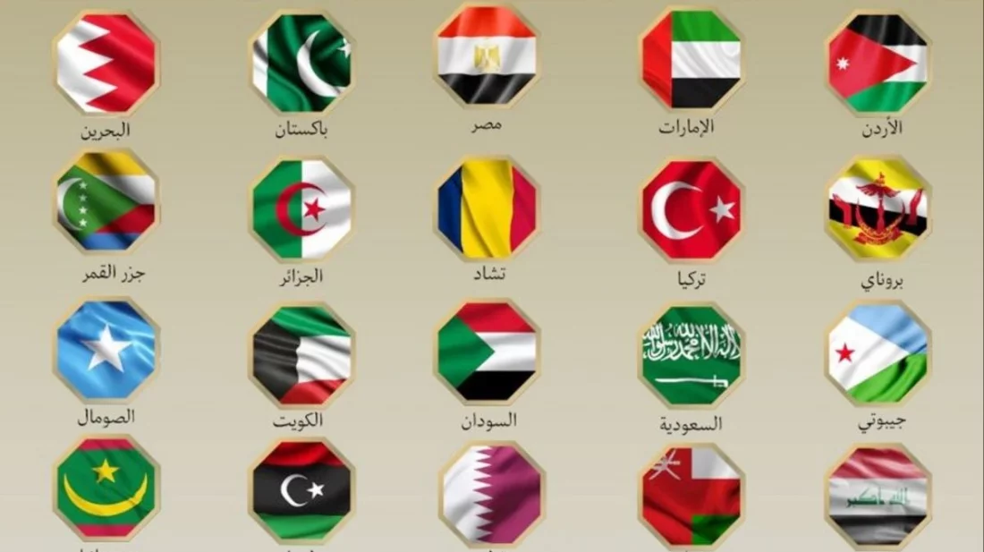 ইরানে ইসরায়েলি হামলার নিন্দা জানাল ২১ মুসলিম দেশ