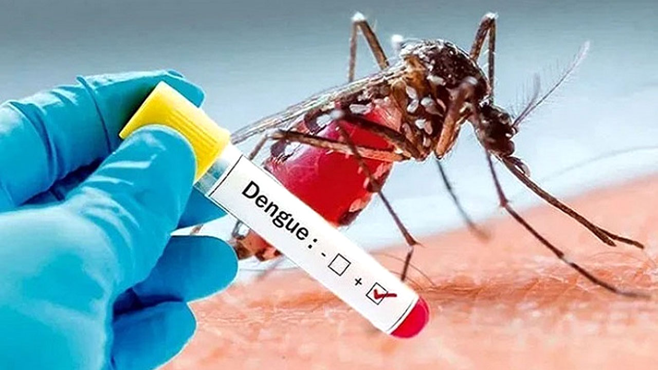 ডেঙ্গুতে ৫ জনের মৃত্যু, আক্রান্ত ১৫৯ গত ২৪ ঘণ্টায় মশাবাহিত রোগটিতে বরিশাল বিভাগে মারা গেছেন চারজন। আর ঢাকা দক্ষিণ সিটি করপোরেশন এলাকায় মারা গেছেন একজন।