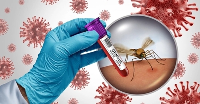 3 more die of dengue; 331 Hospitalised in 24 hrs