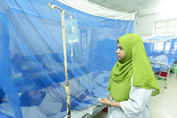 কেন বাড়ছে ডেঙ্গুতে মৃত্যু ♦ ঝরেছে অর্ধশত প্রাণ ♦ ঝুঁকিতে বরিশাল বিভাগ