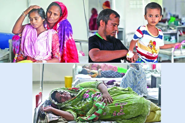 রাজনীতির ডামাডোলে নীরবে বাড়ছে ডেঙ্গু