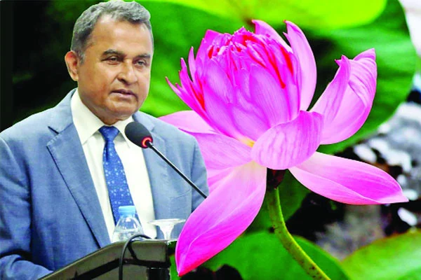 দুর্নীতির পদ্ম- ২ শেয়ারবাজার থেকে লুট ২০ হাজার কোটি টাকা