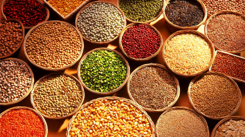 Govt to distribute 3.66m tonnes of food grains in FY2026