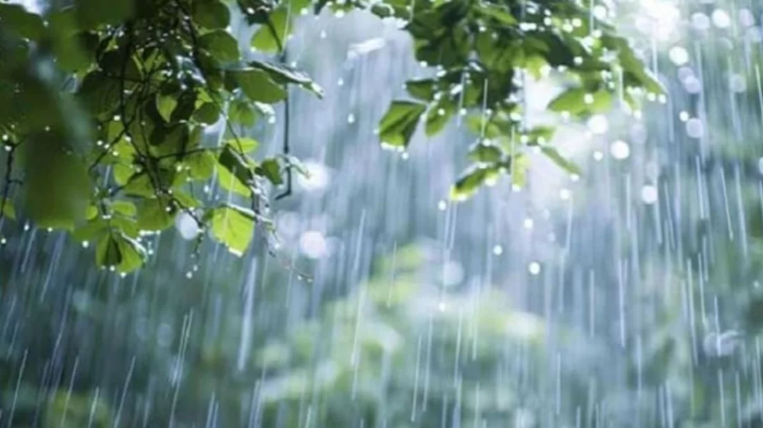 পাঁচ দিনের পূর্বাভাসে ৭ বিভাগে বৃষ্টির আভাস