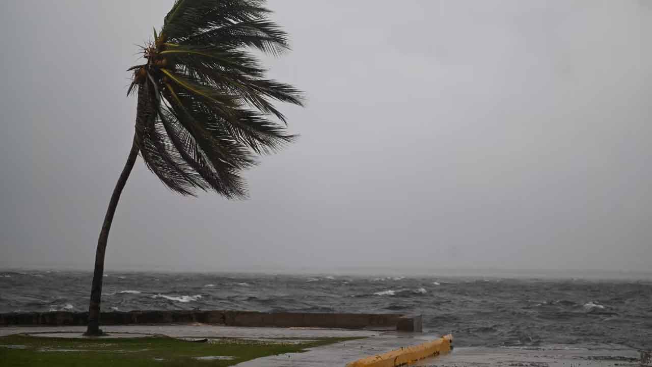হারিকেন ‘মেলিসা’ ধেয়ে আসছে জ্যামাইকার দিকে