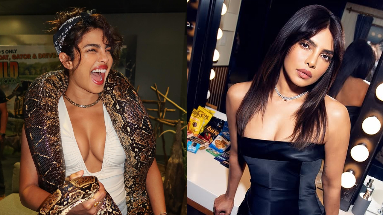 প্রিয়াঙ্কা চোপড়ার সাহসিকতা: গলায় সাপ জড়িয়ে শেয়ার করলেন নতুন ভিডিও