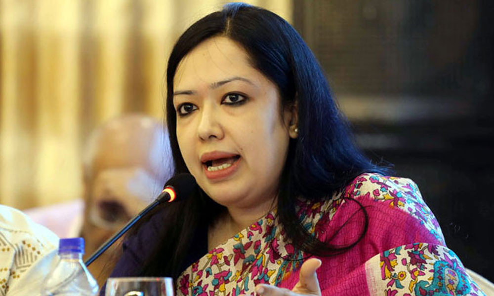 গণভোট প্রসঙ্গে রুমিন ফারহানার অভিযোগ: ‘জাতির সঙ্গে প্রতারণা’