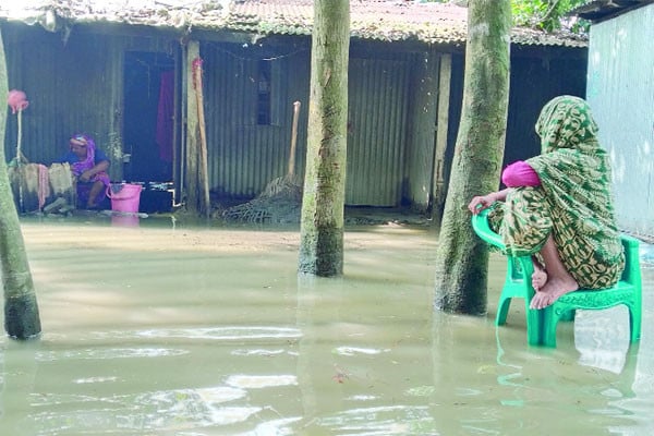 লাখো মানুষ পানিবন্দি ভাঙন আতঙ্কে তিস্তা পাড়ের বাসিন্দারা