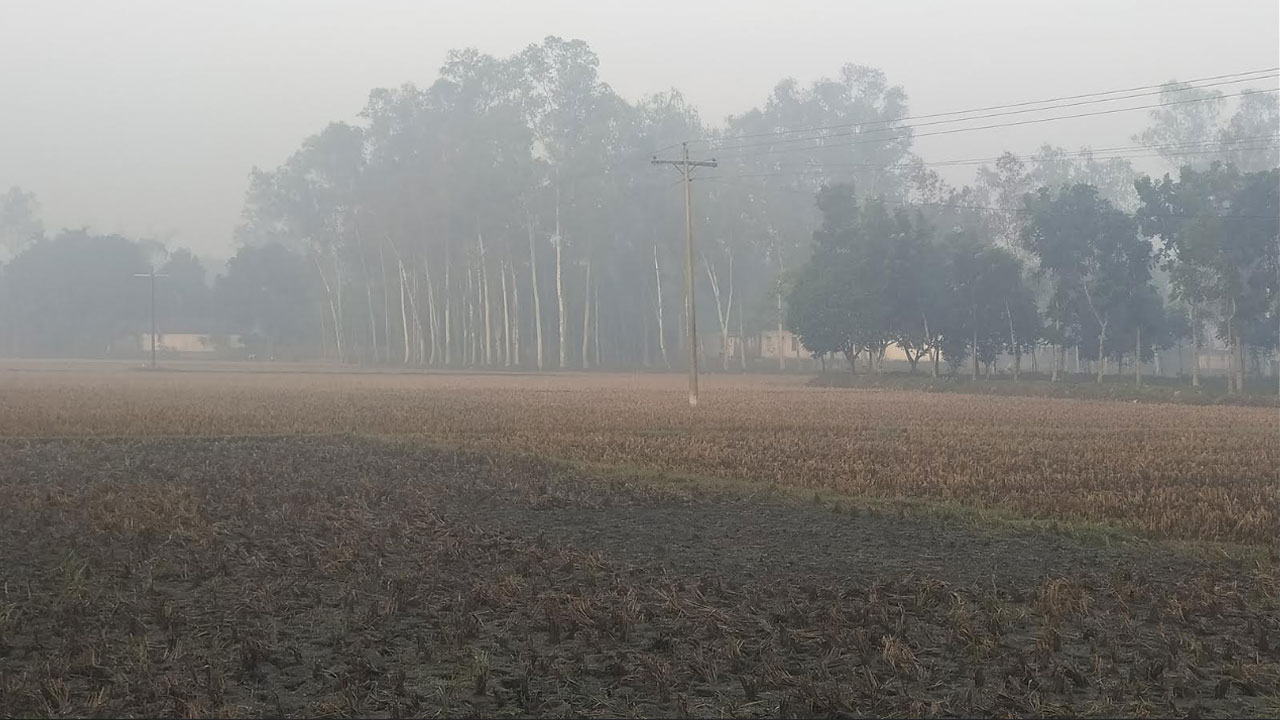 পঞ্চগড়ে শীতের তীব্রতা বেড়েছে, সর্বনিম্ন তাপমাত্রা ১৩ ডিগ্রি সেলসিয়াস