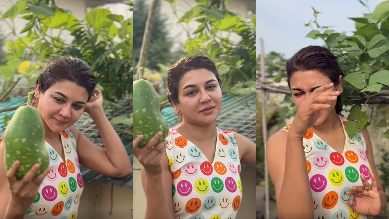 জয়া আহসানের ছাদবাগানে প্রাকৃতিক প্রেম ও সাদামাটা জীবনধারার প্রকাশ