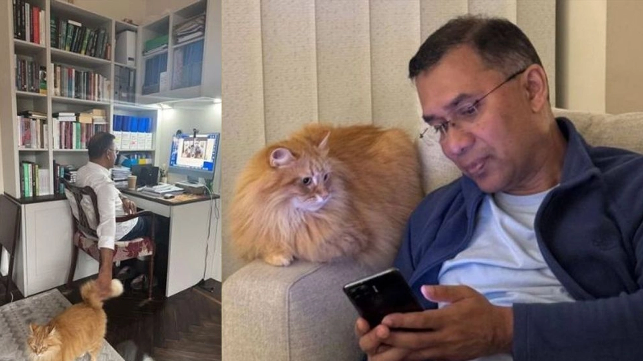 তারেক রহমানের সাথে আসছে পোষ্য বিড়াল ‘জেবু’