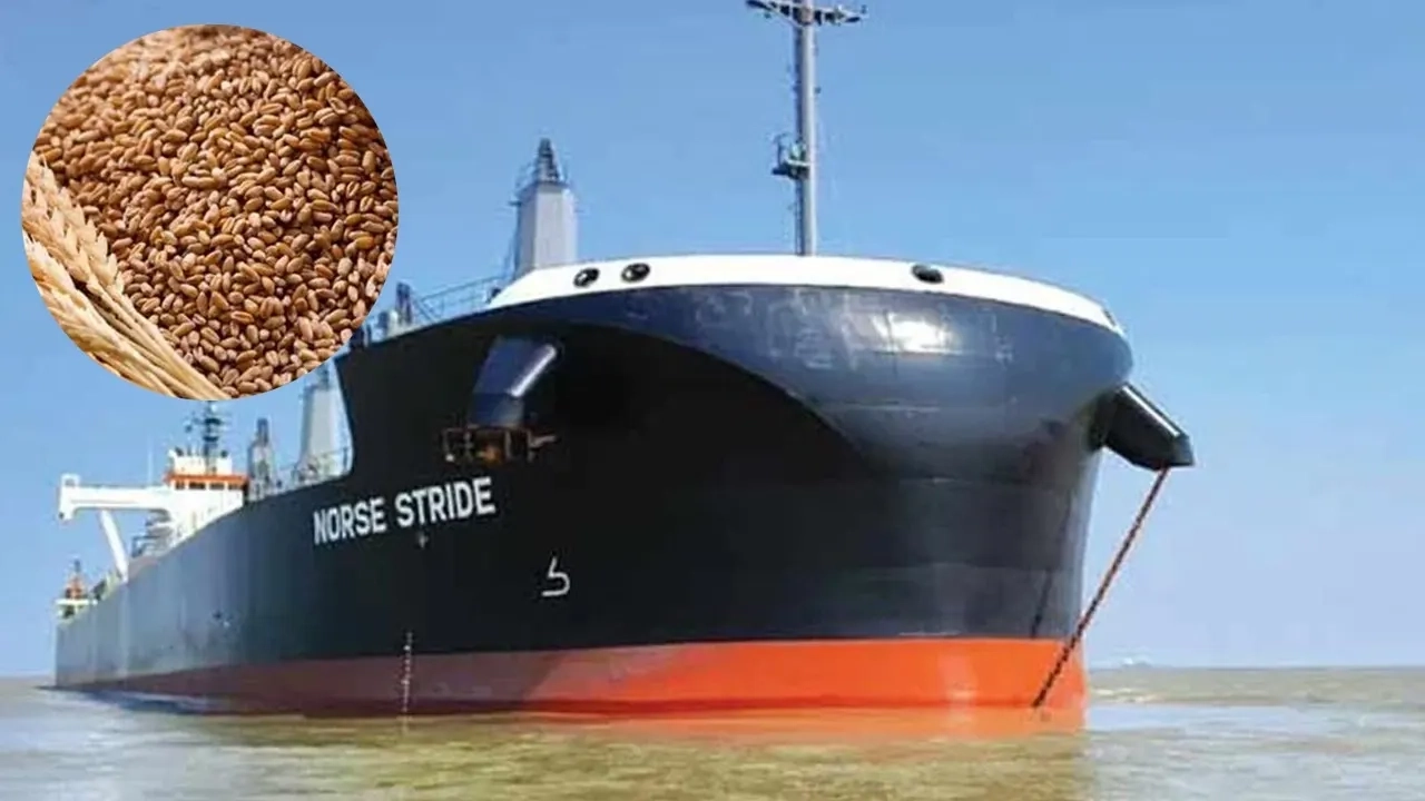 চট্টগ্রাম বন্দরে যুক্তরাষ্ট্র থেকে ৬২ হাজার মেট্রিক টন গম পৌঁছেছে