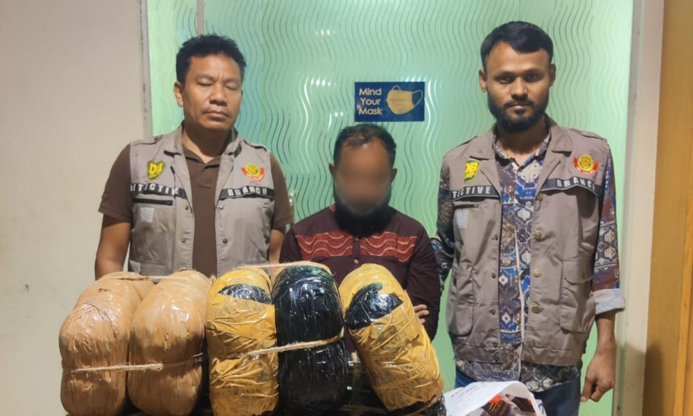 শাহবাগে অভিযান: ৩০ কেজি গাঁজা ও ৮ হাজার পিস ট্যাপেন্টাডলসহ মাদক কারবারি গ্রেপ্তার