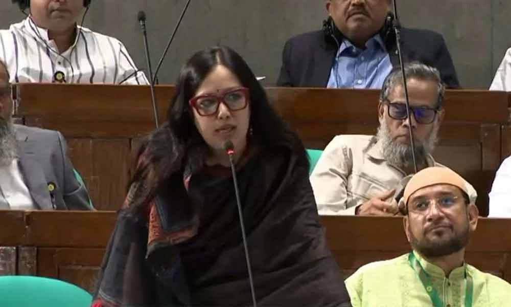 মার্কিন বাণিজ্য চুক্তি পর্যালোচনার দাবি: সংসদে ব্যারিস্টার রুমিন ফারহানার প্রস্তাব