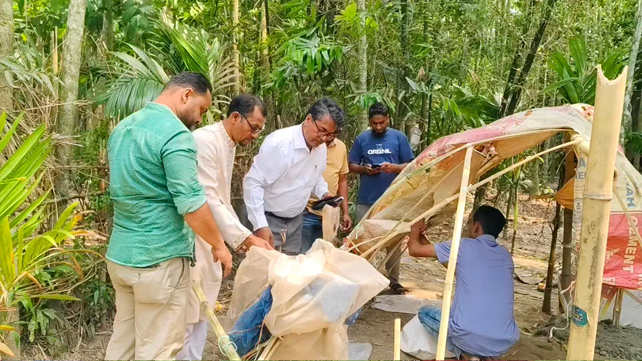 মেঘনা নদীতে জাটকা নিধন ও চিংড়ি রেণু পাচারকারীদের অবৈধ আস্তানা উচ্ছেদ