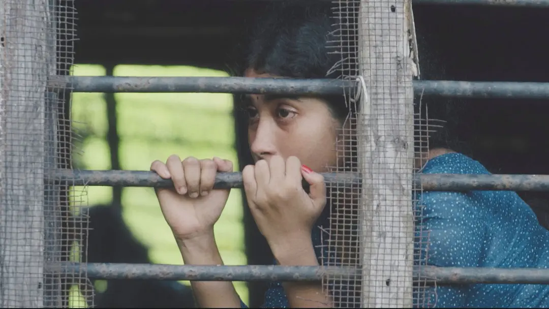 ভিয়েনায় ‘রেড লোটাস এশিয়ান ফিল্ম ফেস্টিভ্যালে’ প্রদর্শিত হবে ‘দেলুপি’