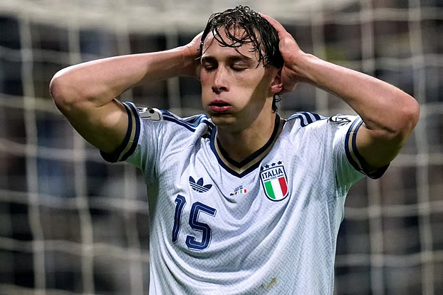 ইতালি বিশ্বকাপ থেকে বাদ, বসনিয়া ও হার্জেগোভিনা ইতিহাসে ফিরল