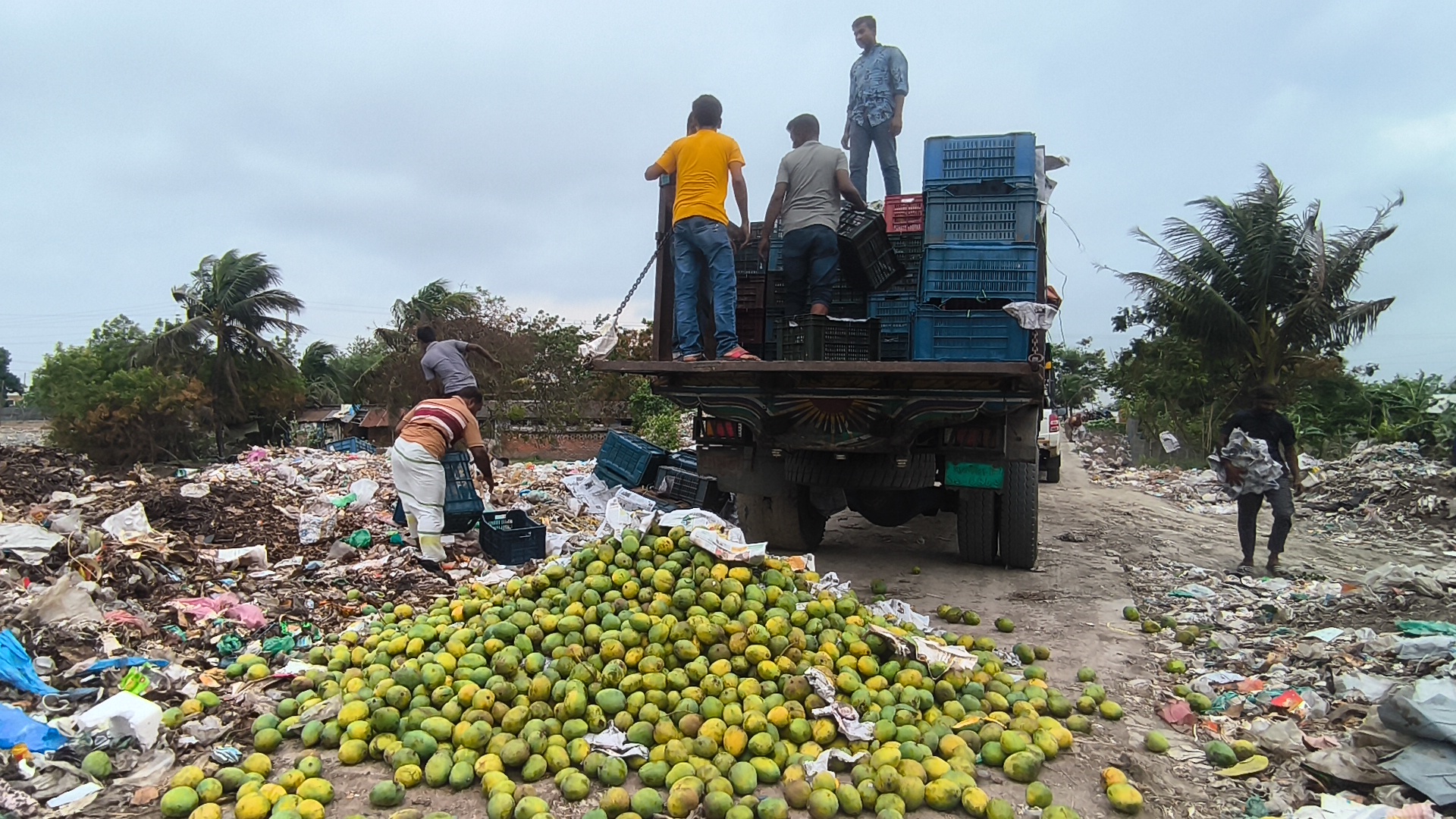 সাতক্ষীরায় কার্বাইড মিশ্রিত ৯ হাজার কেজি আম জব্দ ও ধ্বংস