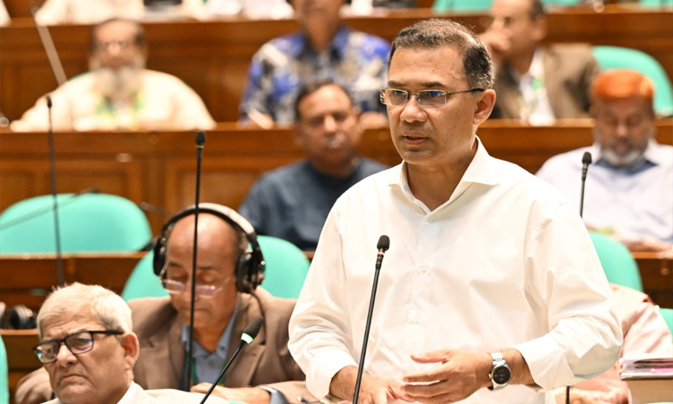 কৃষক প্রণোদনা ও কৃষি কার্ড কার্যক্রম শুরু, বিভিন্ন খাতে সরকারের অগ্রগতি তুলে ধরা হলো