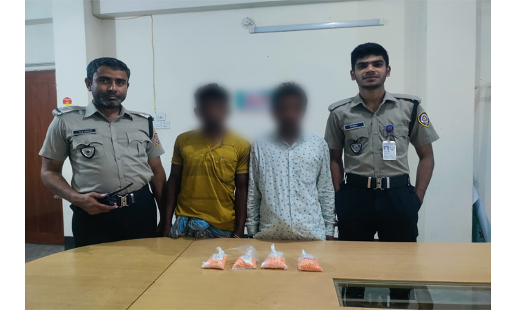নেত্রকোণায় মাদকবিরোধী অভিযানে বিপুল পরিমাণ ইয়াবা ও গাঁজাসহ আটক ২
