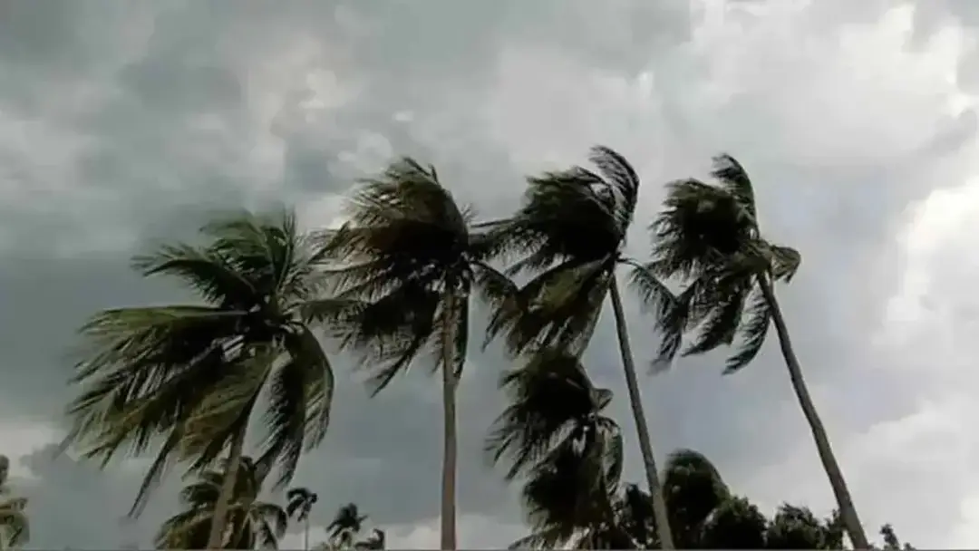 রংপুর ও সিলেটসহ আট অঞ্চলে ঝোড়ো হাওয়ার পূর্বাভাস, নদীবন্দরে সতর্কসংকেত