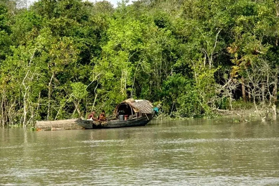 তিন মাস নিষেধাজ্ঞা শেষে সুন্দরবনে প্রবেশ শুরু হলো জেলে-পর্যটকদের