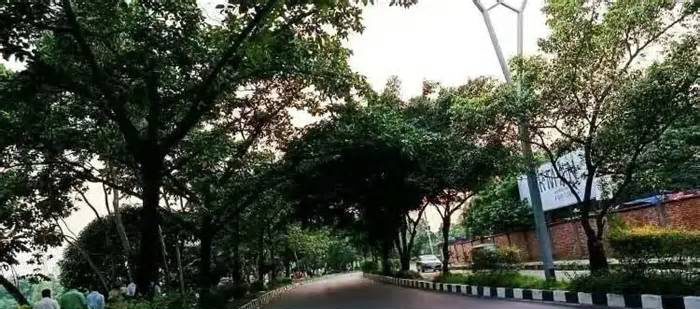 বায়ুদূষণের শীর্ষে মালয়েশিয়ার ২ শহর, ঢাকা তৃতীয়
