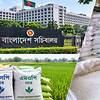 সার ডিলার নিয়োগে সচিবালয়ে এমপি-নেতাদের দৌড়ঝাঁপ